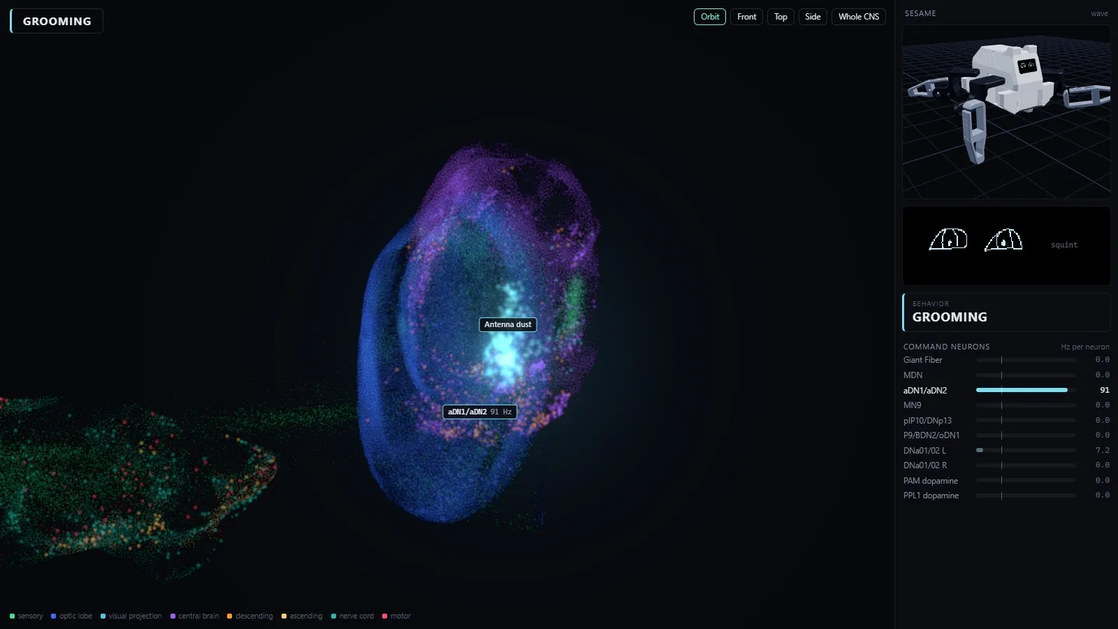 Cinema mode while the antenna dust stimulus drives the grooming neurons
