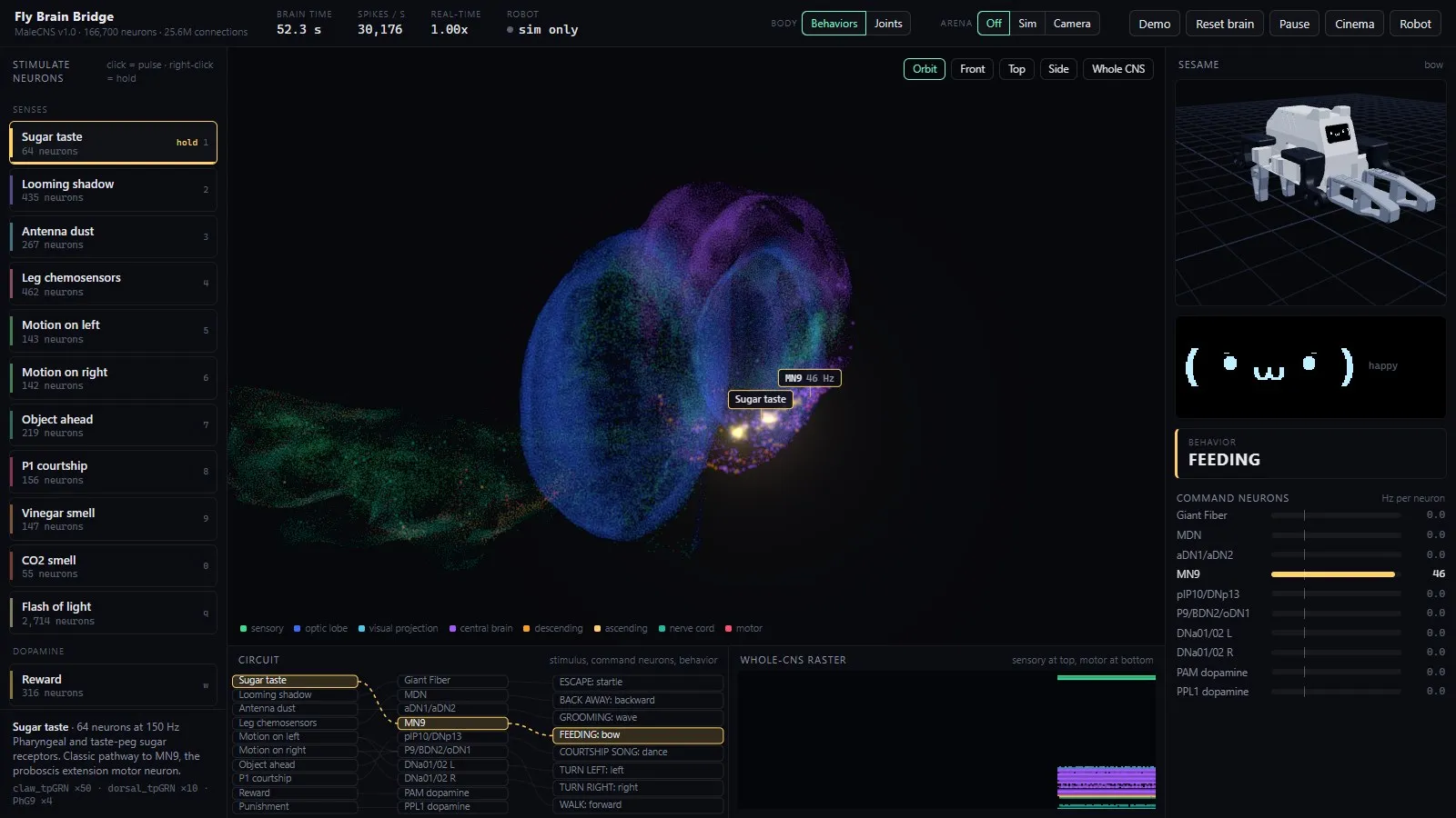 Mapping stimuli to command neurons